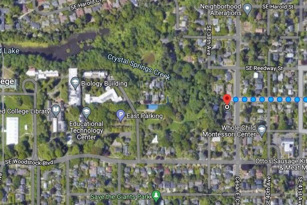 波特蘭Heart Of Woodstock, 10 Min Walk To Reed, With Private Garage!公寓 外观 照片